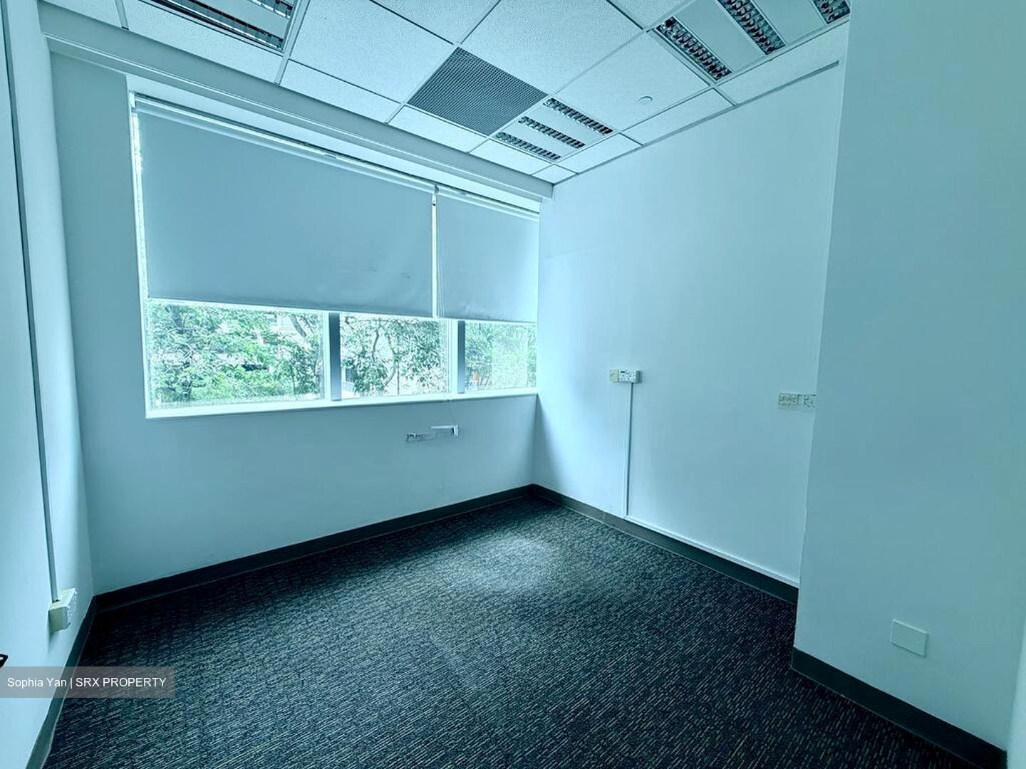 Tan Chong Tower (D7), Office #504945031